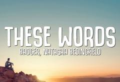 Piesa de zvâc | Badger, Natasha Bedingfield - „These Words”