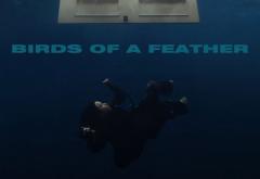Torpedoul lui Morar: Billie Eilish - Birds Of A Feather