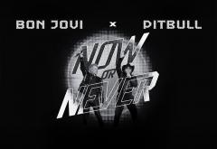 Linkool lui Cuza: Pitbull x Bon Jovi - „Now or Never”
