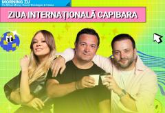 Continuă versul: „Mi-am luat o capibară...”