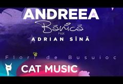 Andreea Bănică feat. Adrian Sînă - Flori de Busuioc | GRAPHIC VIDEO