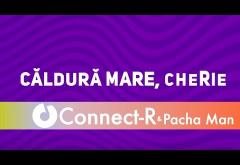 Connect-R ft. Pacha Man - Mare căldură (MIDIOTS Rework) | LYRIC VIDEO