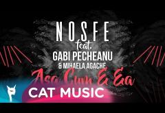 Nosfe feat. Gabi Pecheanu & Mihaela Agache - Asa cum e ea | PIESĂ NOUĂ