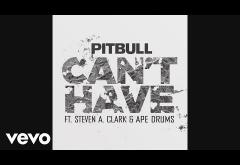 Pitbull ft. Steven A. Clark, Ape Drums - Can´t Have | PIESĂ NOUĂ