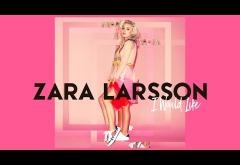 Zara Larsson - I Would Like | PIESĂ NOUĂ