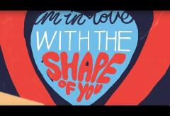 Ed Sheeran - Shape Of You | LYRIC VIDEO