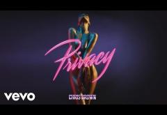 Chris Brown - Privacy | PIESĂ NOUĂ