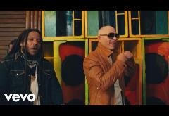 Pitbull ft. Stephen Marley - Options | VIDEOCLIP