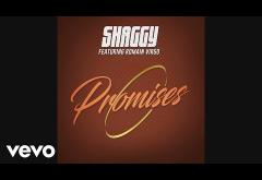 Shaggy ft. Romain Virgo - Promises | PIESĂ NOUĂ 