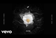 Avicii ft. Rita Ora - Lonely Together | PIESĂ NOUĂ 