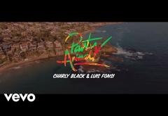 Charly Black, Luis Fonsi - Party Animal | VIDEOCLIP