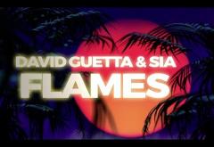 David Guetta & Sia - Flames | LYRIC VIDEO