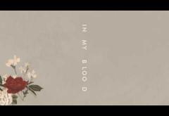 Shawn Mendes - In My Blood | PIESĂ NOUĂ