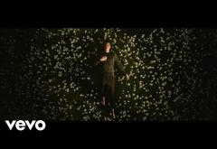 Shawn Mendes - In My Blood | VIDEOCLIP