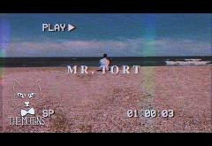 The Motans - Mr. Tort | VIDEOCLIP