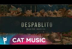 Delia x Grasu XXL - Despablito | VIDEOCLIP