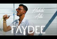 Faydee - Habibi Albi (ft. Leftside) | PIESĂ NOUĂ