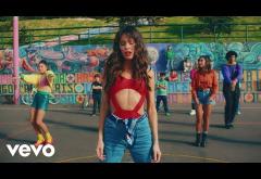 Jonas Blue ft. Chelcee Grimes, TINI, Jhay Cortez - Wild | videoclip