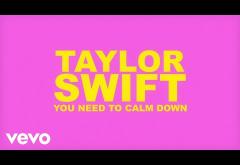 Taylor Swift - You Need To Calm Down | lyric video