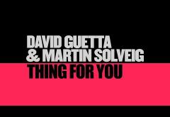 David Guetta & Martin Solveig - Thing For You | lyric video