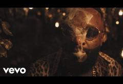 Rick Ross feat. Drake - Gold Roses | videoclip