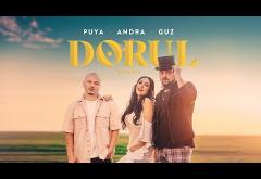 Puya feat. Andra & Guz - Dorul | videoclip