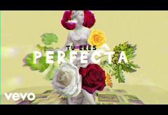 Luis Fonsi, Farruko - Perfecta | lyric video