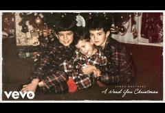 Jonas Brothers - I Need You Christmas | piesă nouă