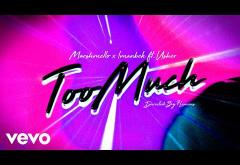 Marshmello, Imanbek ft. Usher - Too Much | lyric video