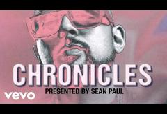 Sean Paul - Chronicles | lyric video