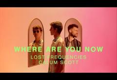 Lost Frequencies ft Calum Scott - Where Are You Now | videoclip