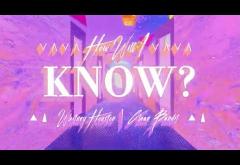 Whitney Houston x Clean Bandit - How Will I Know | lyric video