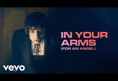 Topic x Robin Schulz x Nico Santos x Paul van Dyk - In Your Arms | videoclip