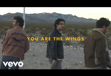 Jonas Brothers - Wings | lyric video