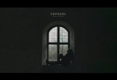 Spike x Smiley - Copacul | videoclip