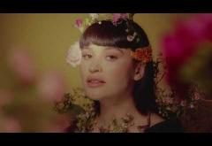 David Ciente x Irina Rimes - Străin în țara lui | videoclip
