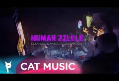 Dj Sava x Adriana Onci x Connect-R - Număr zilele | videoclip